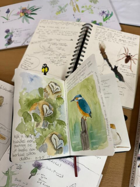 Open schetsboek met aquarellen van vogels en een spin, omringd door notities en tekeningen van planten.