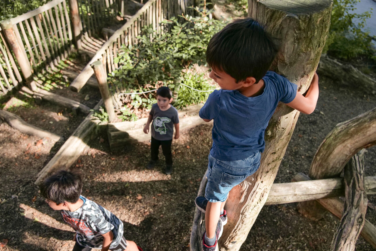 Kinderen spelen op houten klimtoestellen in een bosrijke speeltuin.