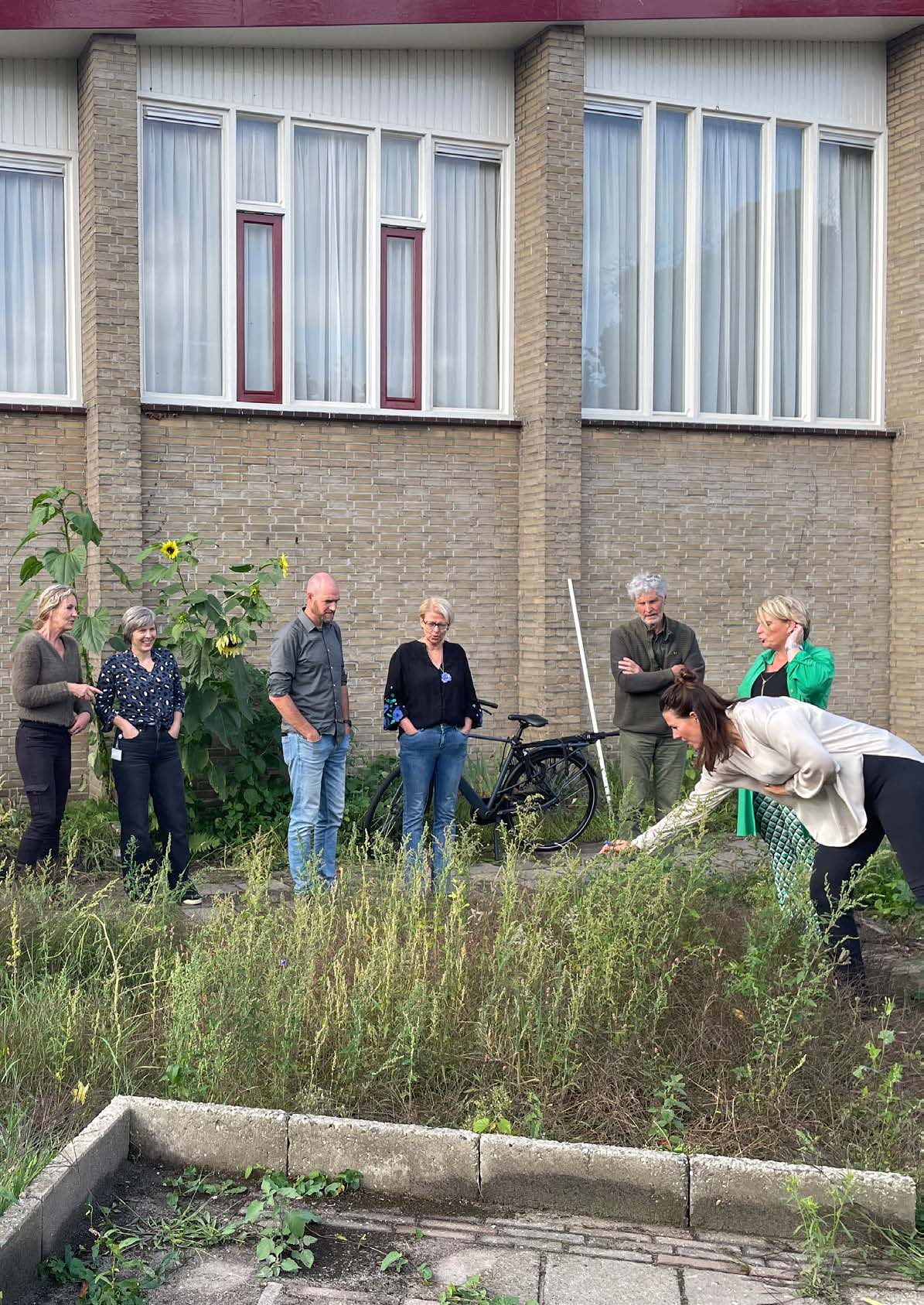 Een groep mensen inspecteert een tuin met onkruid voor een gebouw met hoge ramen.