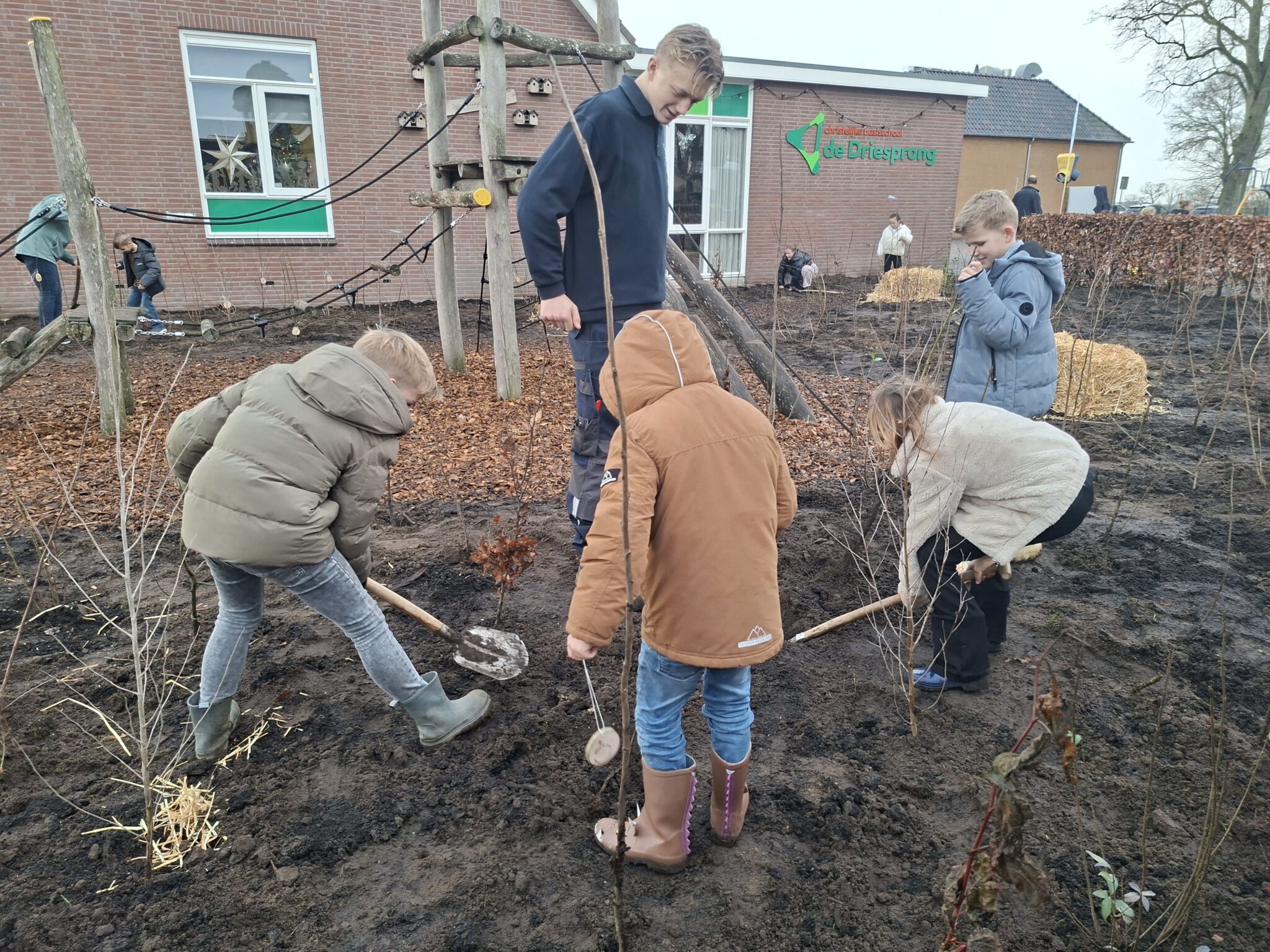 Kinderen planten bomen bij basisschool de Driesprong, begeleid door een volwassene.