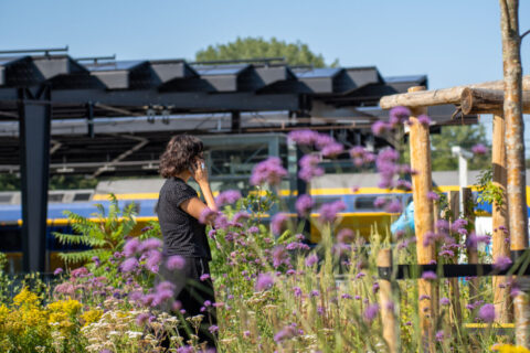 Vrouw met telefoon in bloemenveld bij station, gele trein en blauwe lucht op achtergrond.