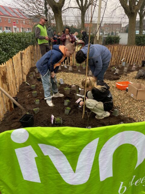 Mensen planten jonge planten in een tuin, omgeven door een houten hek, met een groene IVN-banner.