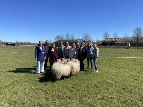 Groep mensen poseert met schapen op een grasveld, onder een heldere blauwe lucht.