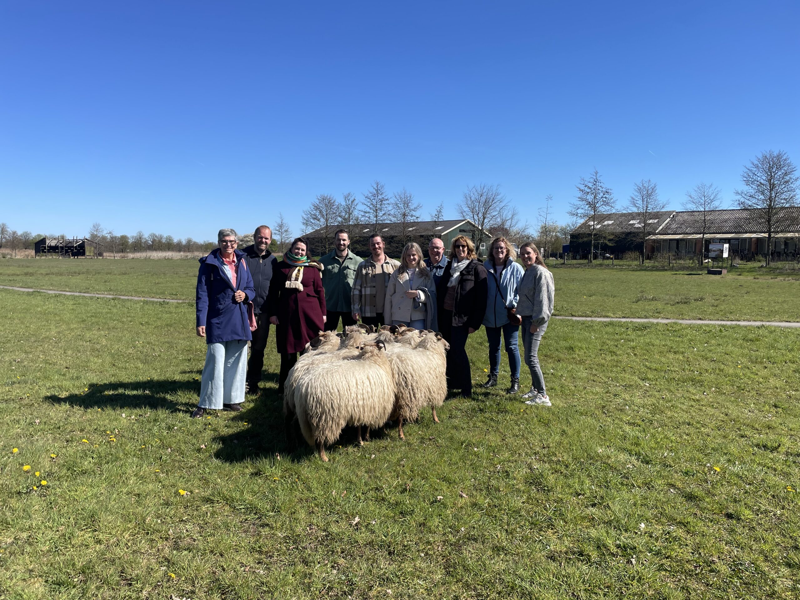 Groep mensen poseert met schapen op een grasveld, onder een heldere blauwe lucht.