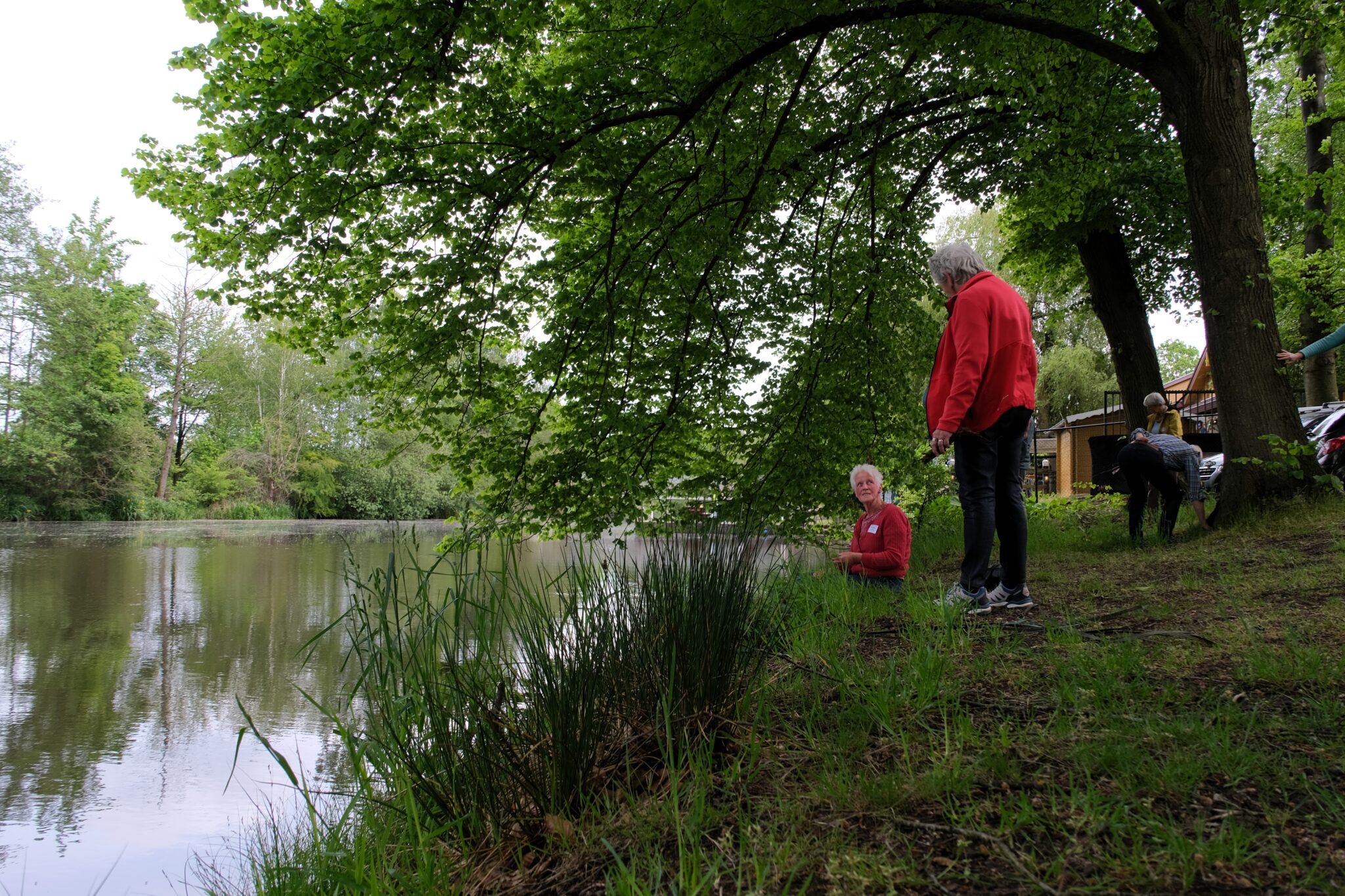 Twee personen aan de oever van een vijver, omringd door bomen en gras.
