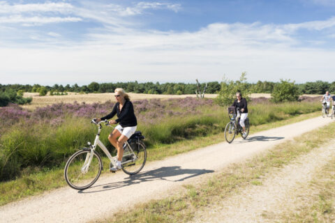 Twee mensen fietsen op een zandpad door een heidelandschap onder een blauwe lucht.