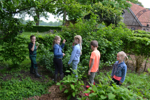 Vijf kinderen in een groene tuin, kijkend naar planten en bloemen.