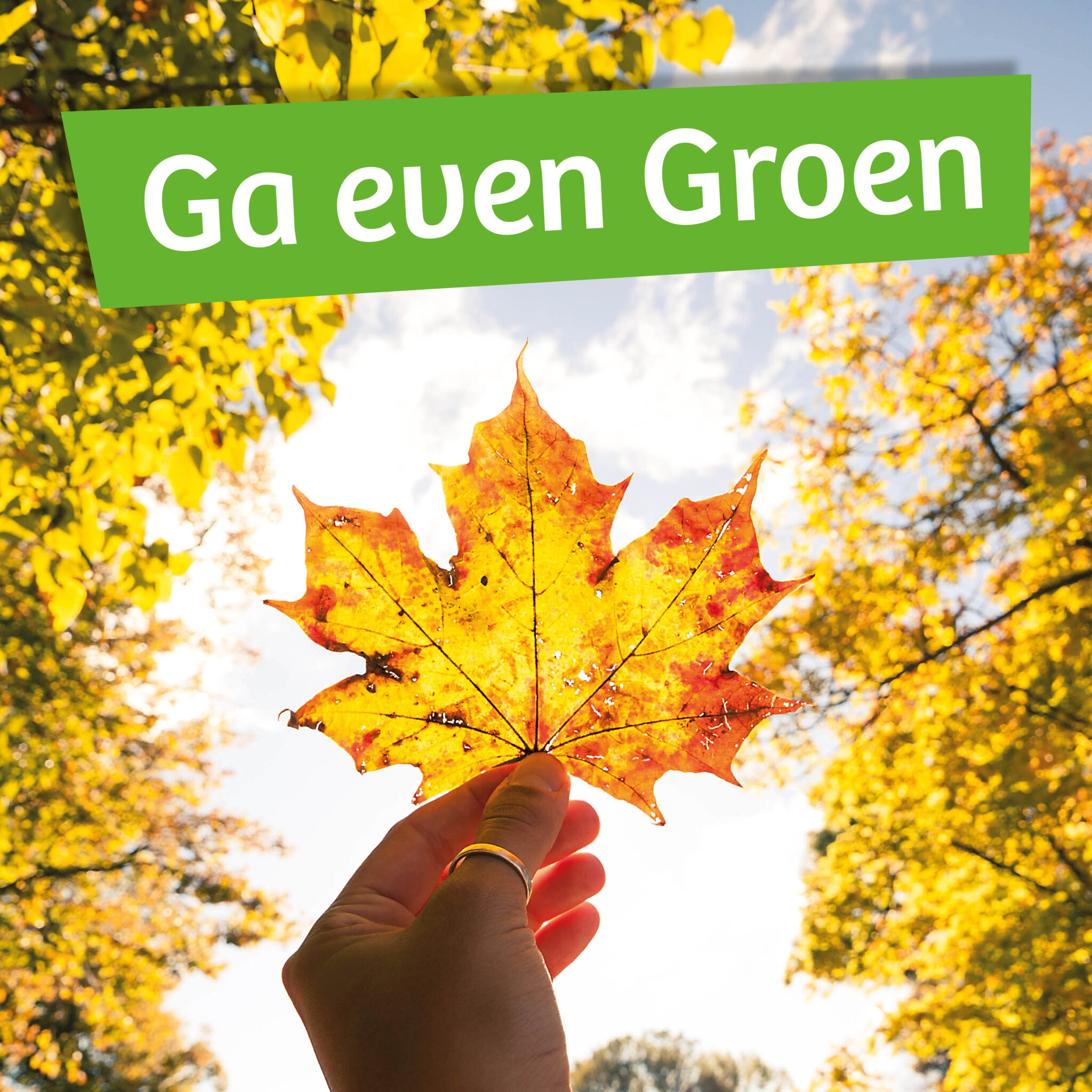 Een hand houdt een herfstblad omhoog met de tekst "Ga even Groen" bovenaan.