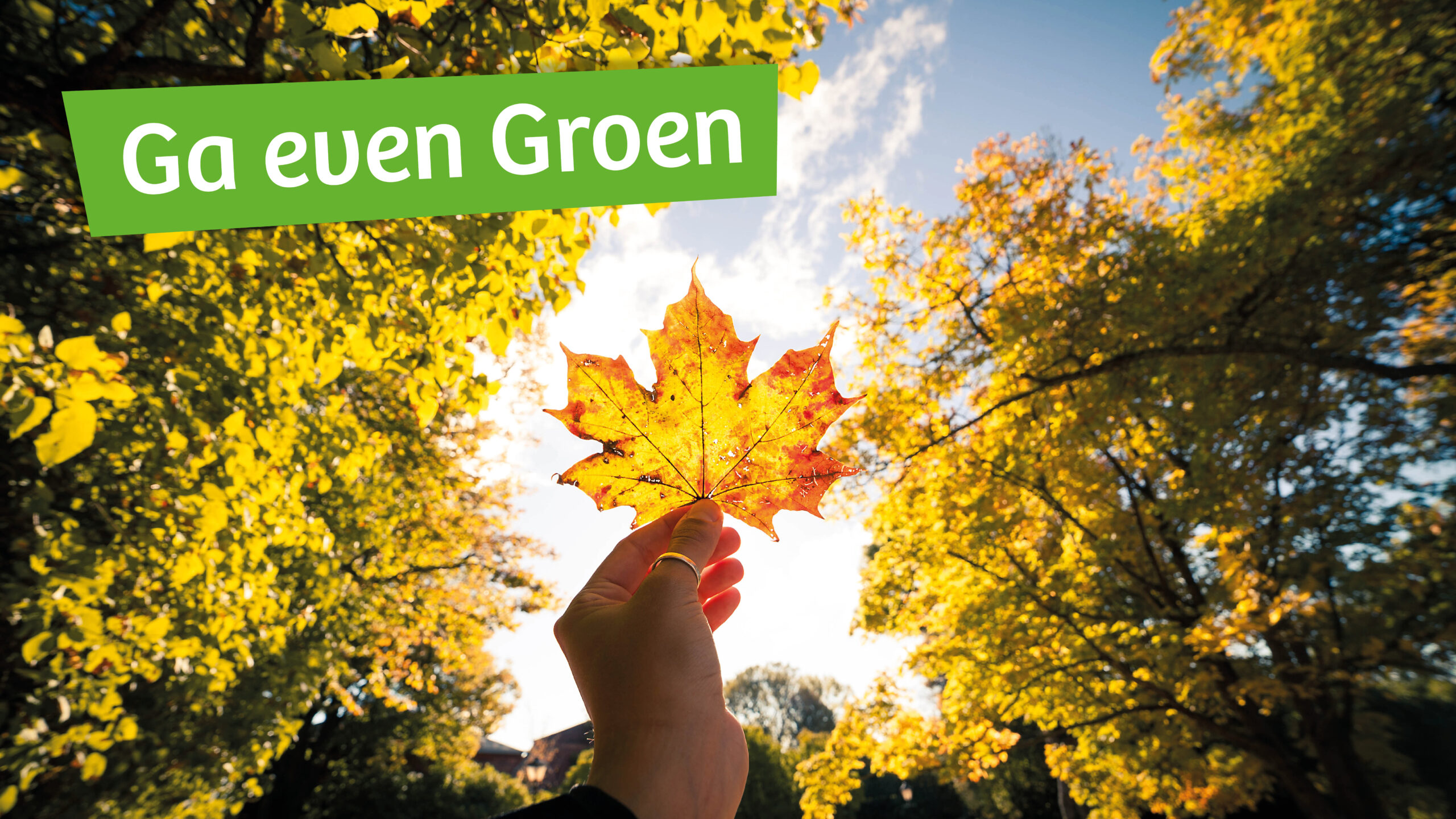 Hand houdt herfstblad omhoog, met tekst "Ga even Groen" op groene achtergrond.