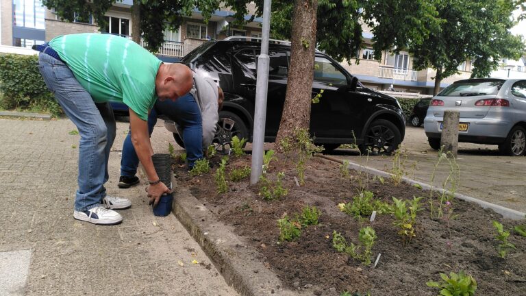 Twee mensen planten bloemen in een groenstrook naast geparkeerde auto's op straat.