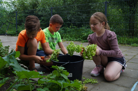 Groen doet goed - Toonladder Nieuwegein 5