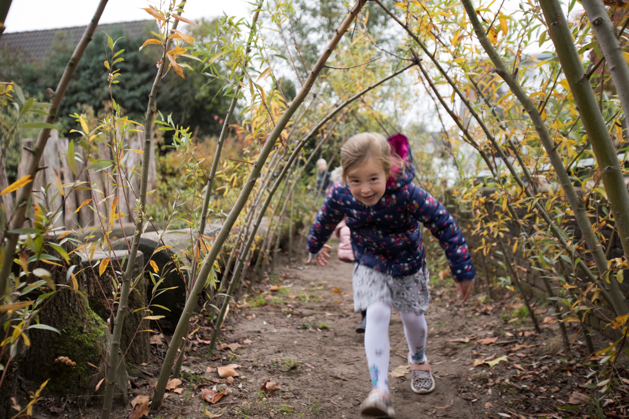 Terugblik Groene Gezonde scholen