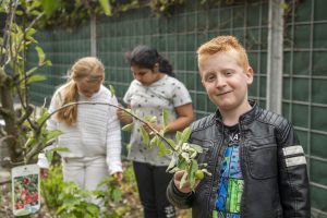 Voedselbosjes zoeken plek in Utrecht oost