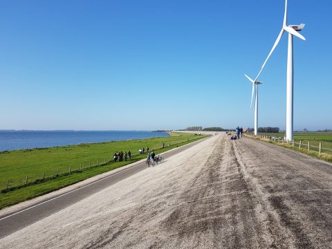 Utrechtse natuur- en milieuorganisaties: “Pas duurzame energie zorgvuldig in”