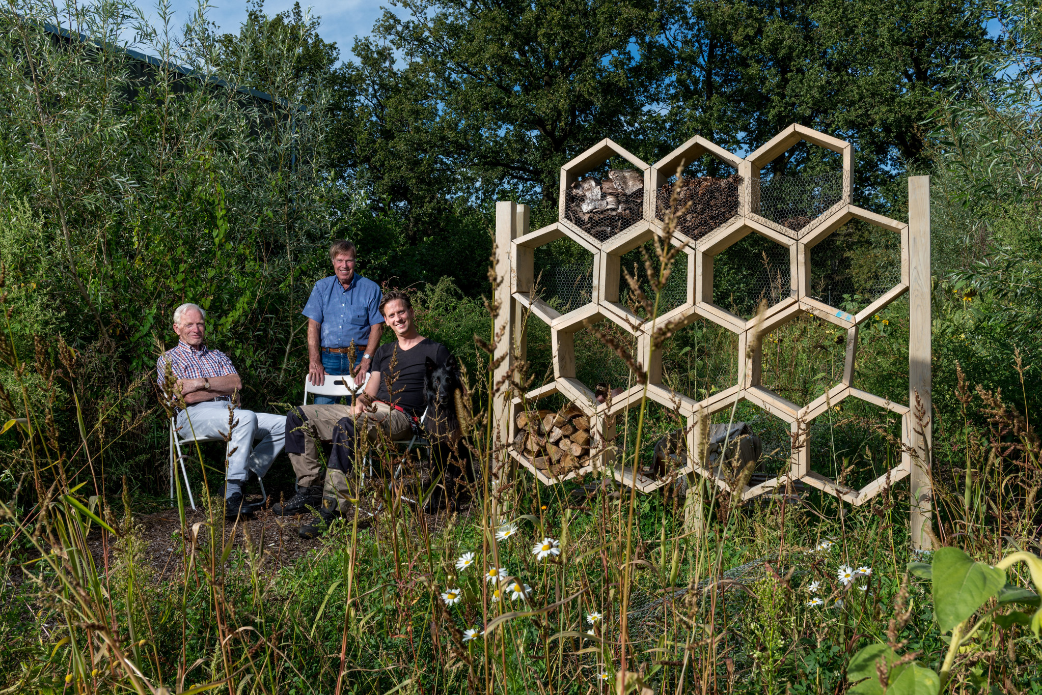 Provincie Utrecht stimuleert inwoners om omgeving te vergroenen