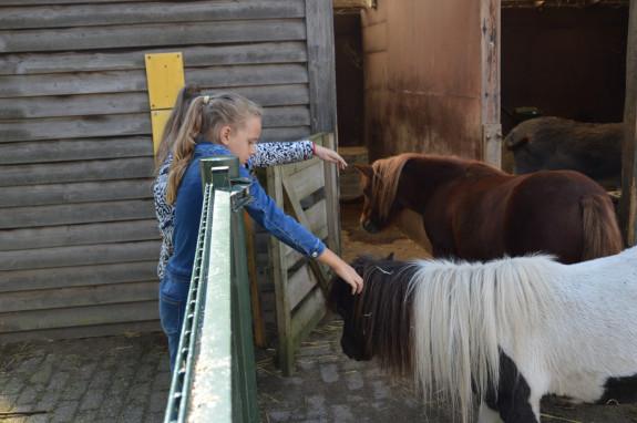 Groen doet goed - Keercamp Houten 4