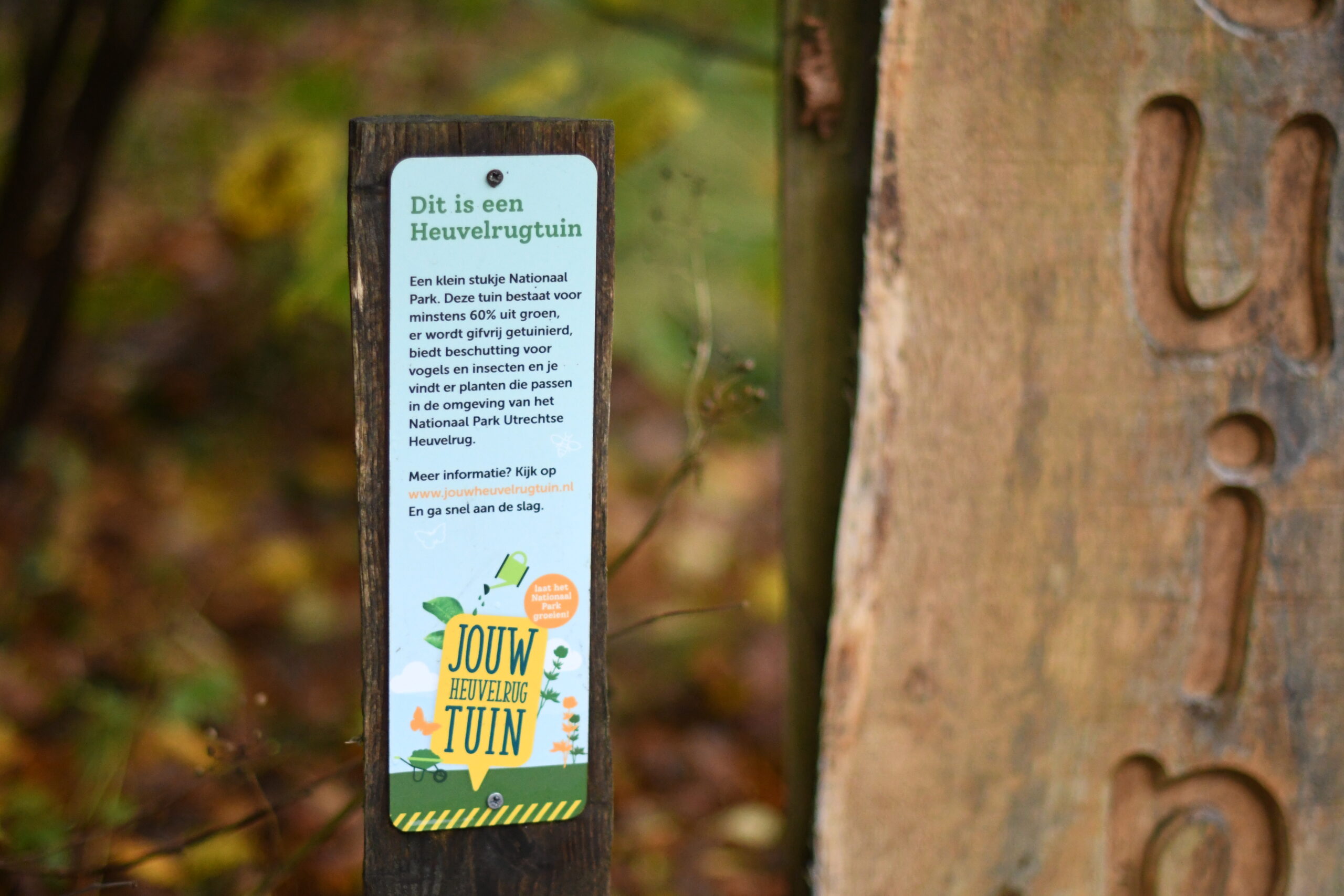 Informatiebord over de Heuvelrugtuin, met website en promotie voor groene tuinen.