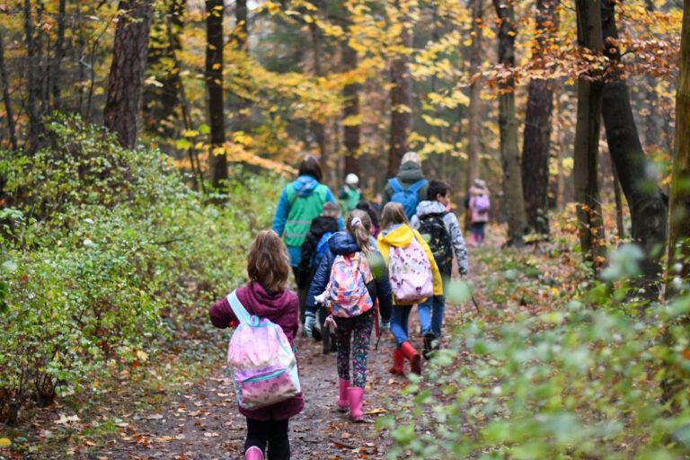 Kinderen lopen in een herfstbos met rugzakken op een pad.