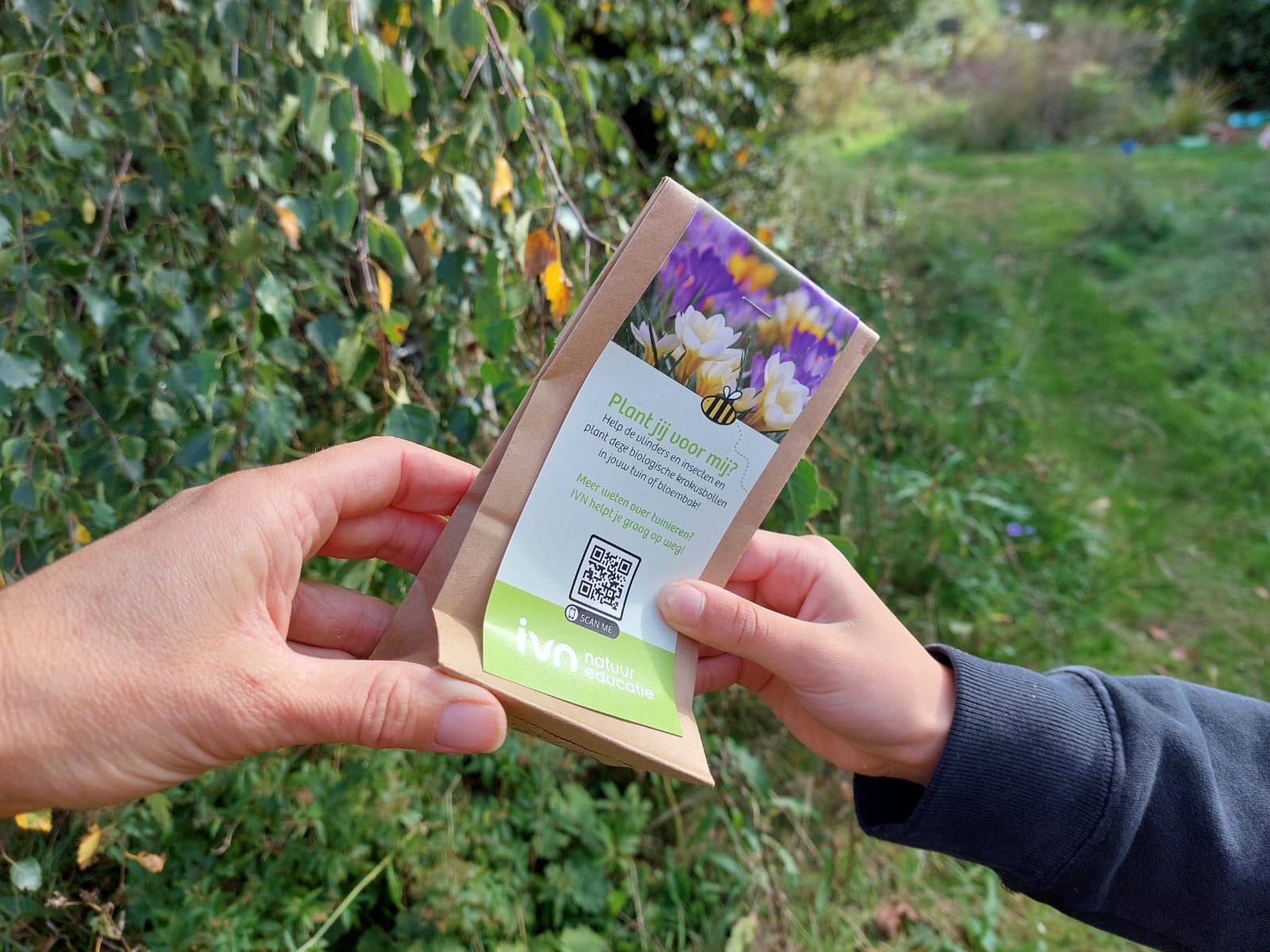 Twee handen houden een zakje bloembollen vast in een groene tuinomgeving.