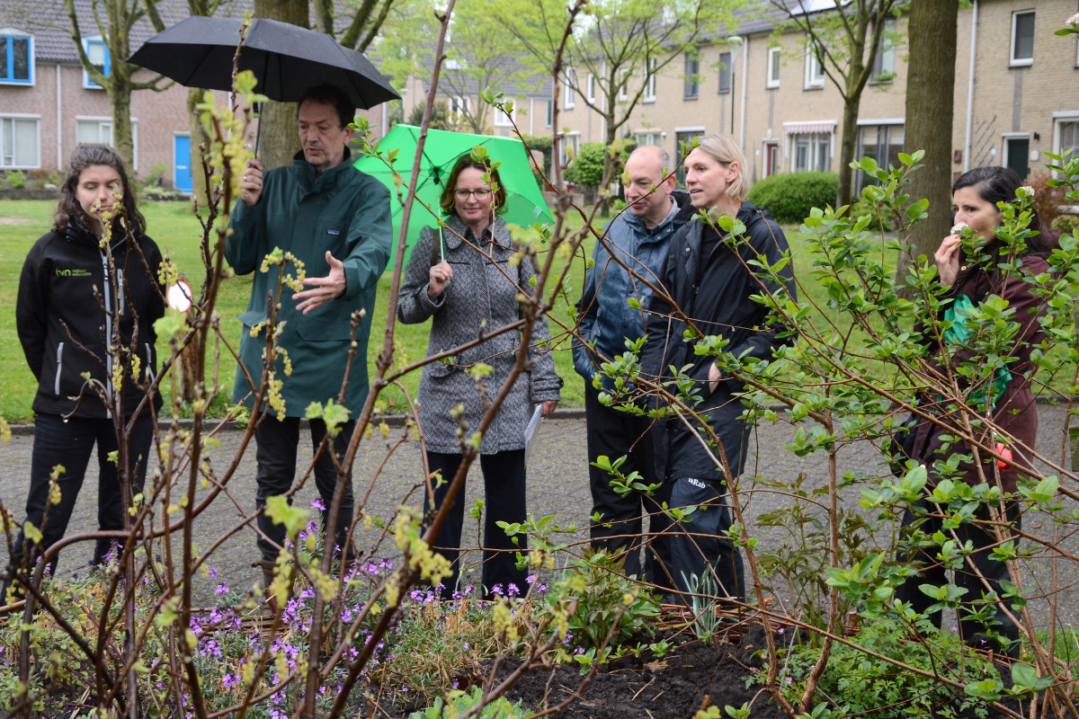 Groep mensen in regenjassen bij een tuin, twee met paraplu's, bekijken planten in een woonwijk.