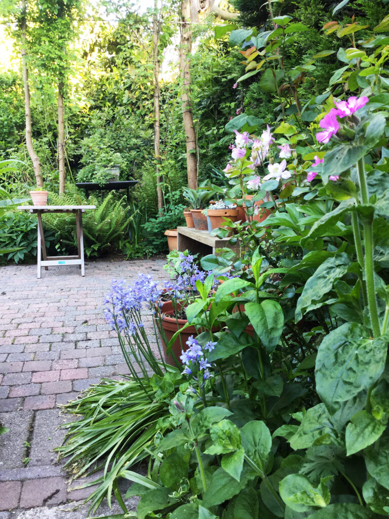 Groene tuin met bloempotten, paarse en roze bloemen, omringd door bomen en planten.