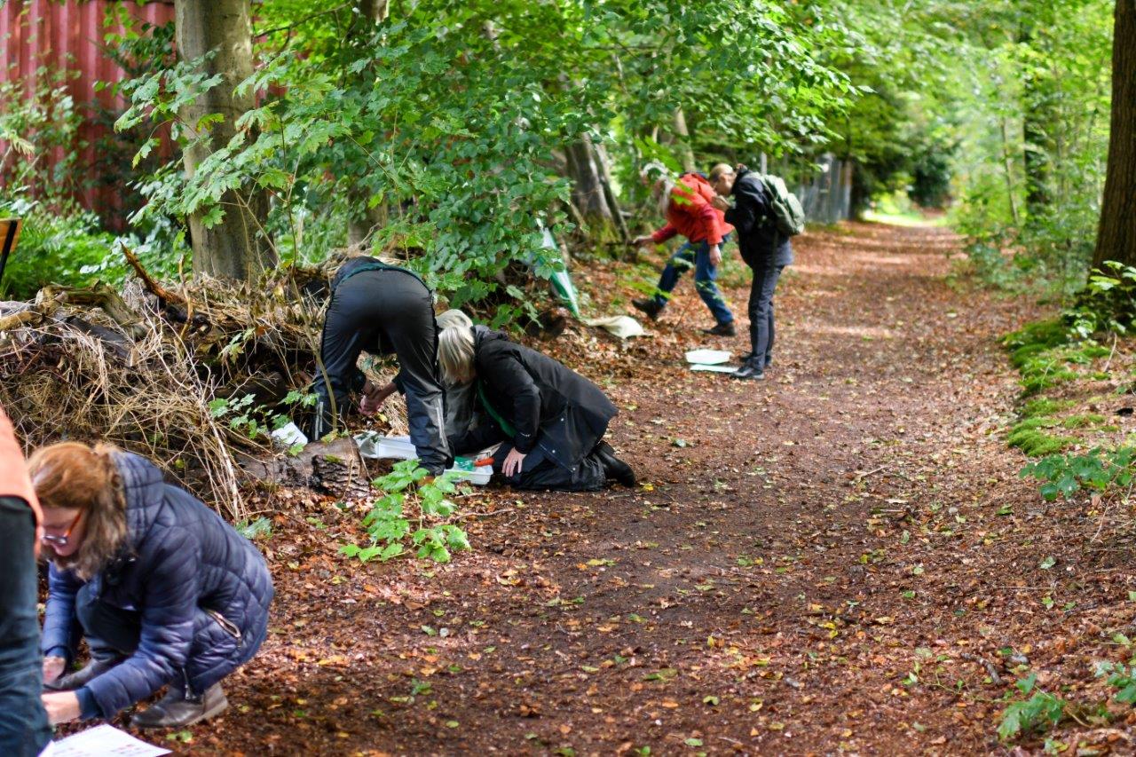 Mensen werken op een bosrijk pad, zoeken iets op de grond tussen bladeren.