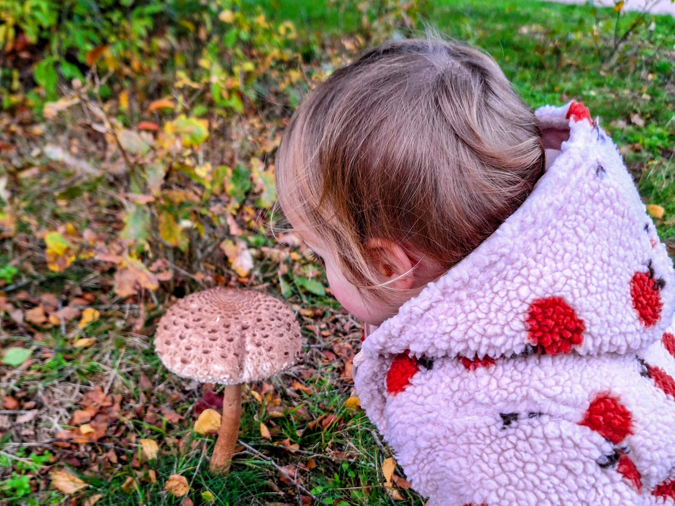Een kind in een witte jas kijkt naar een grote, bruine paddenstoel op gras.