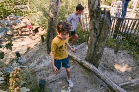 Twee kinderen klimmen op een houten speeltoestel in een bosrijke omgeving.