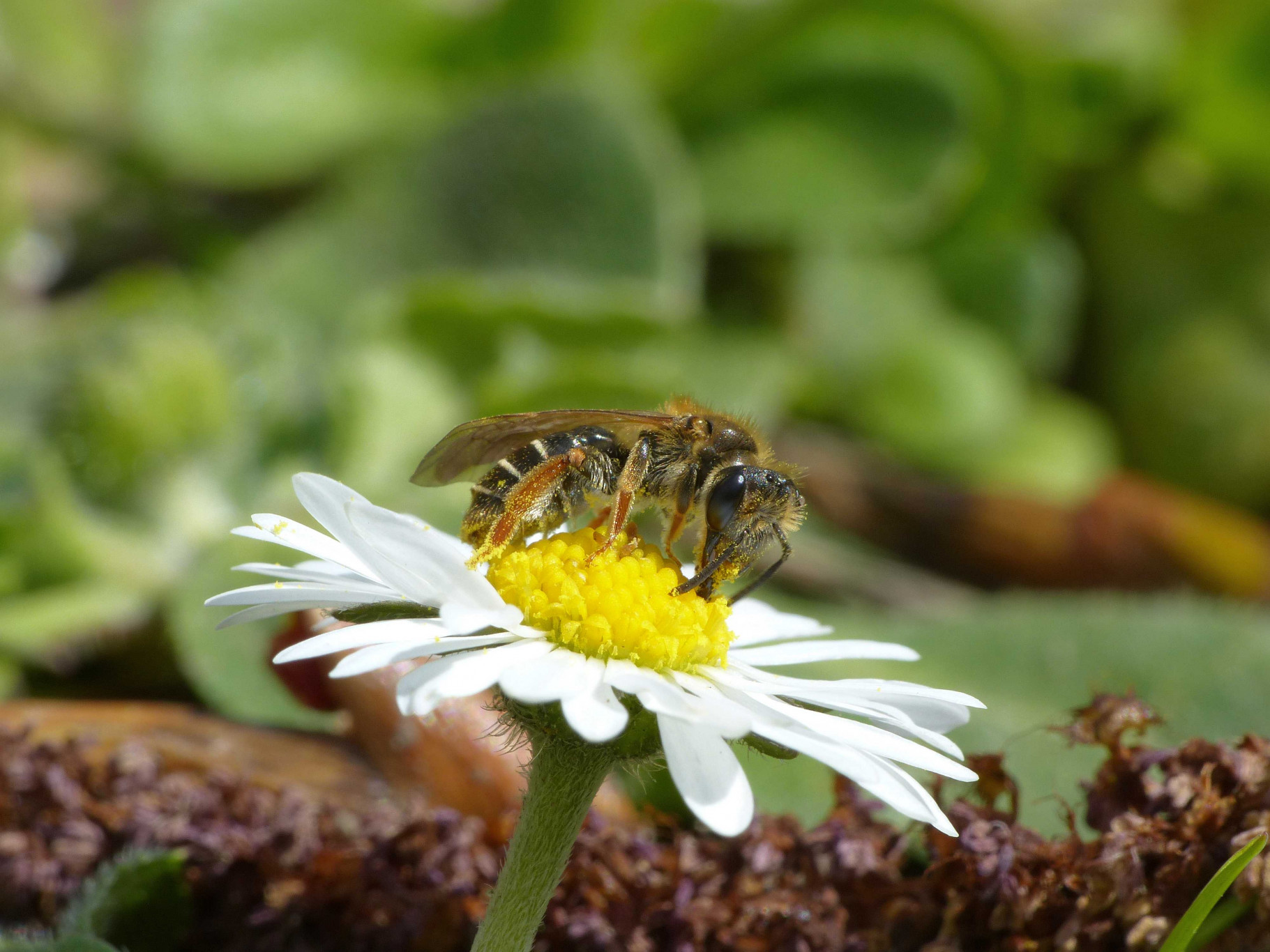 Nieuwe vrijwilliger in het zonnetje
