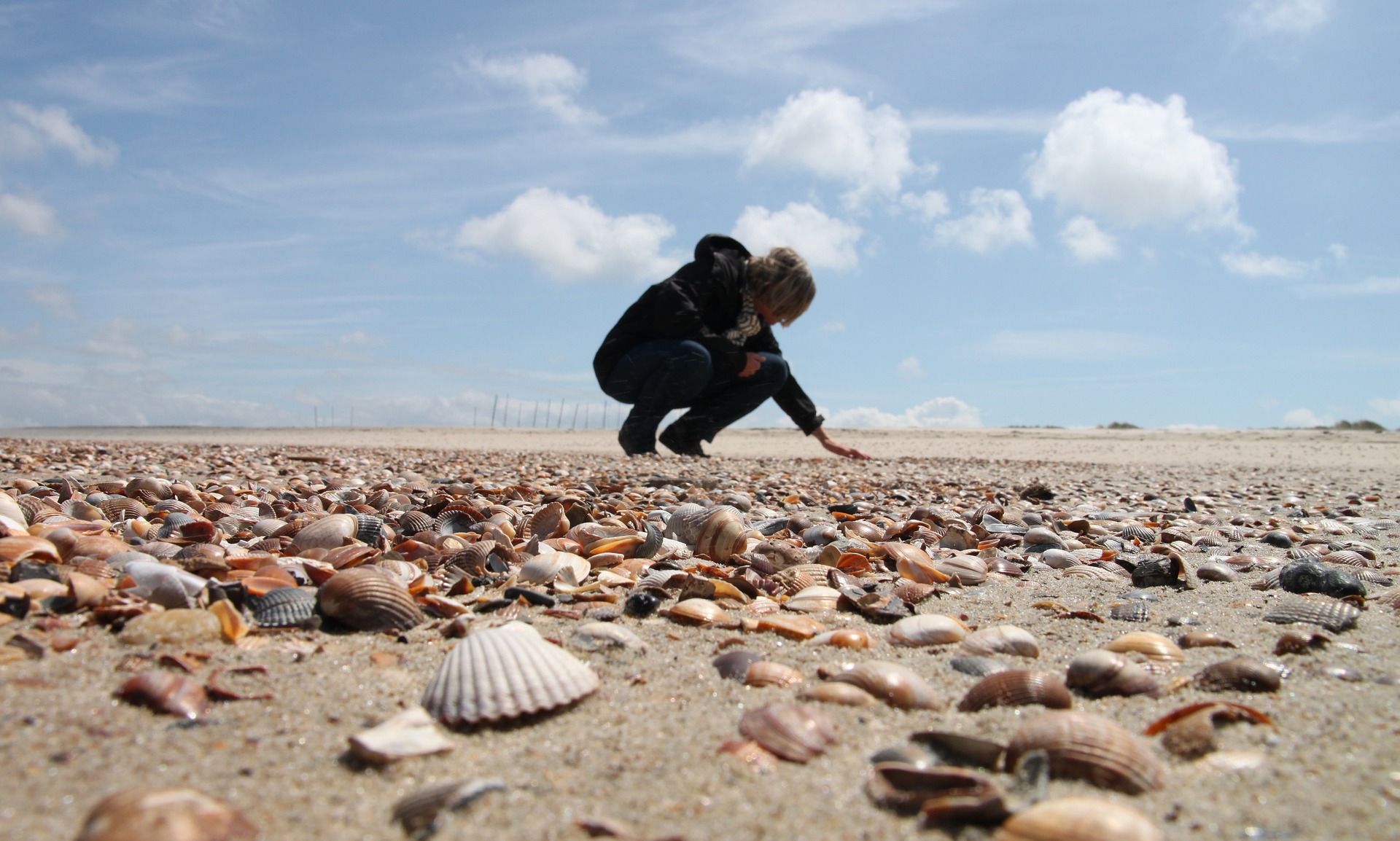 Afdeling IVN de Zeeuwse Delta gaat door in een nieuwe vorm