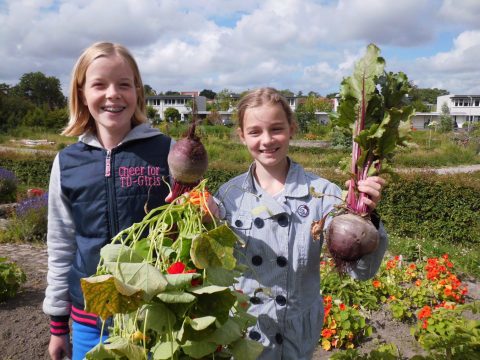 E-learning: aan de slag met schooltuinieren