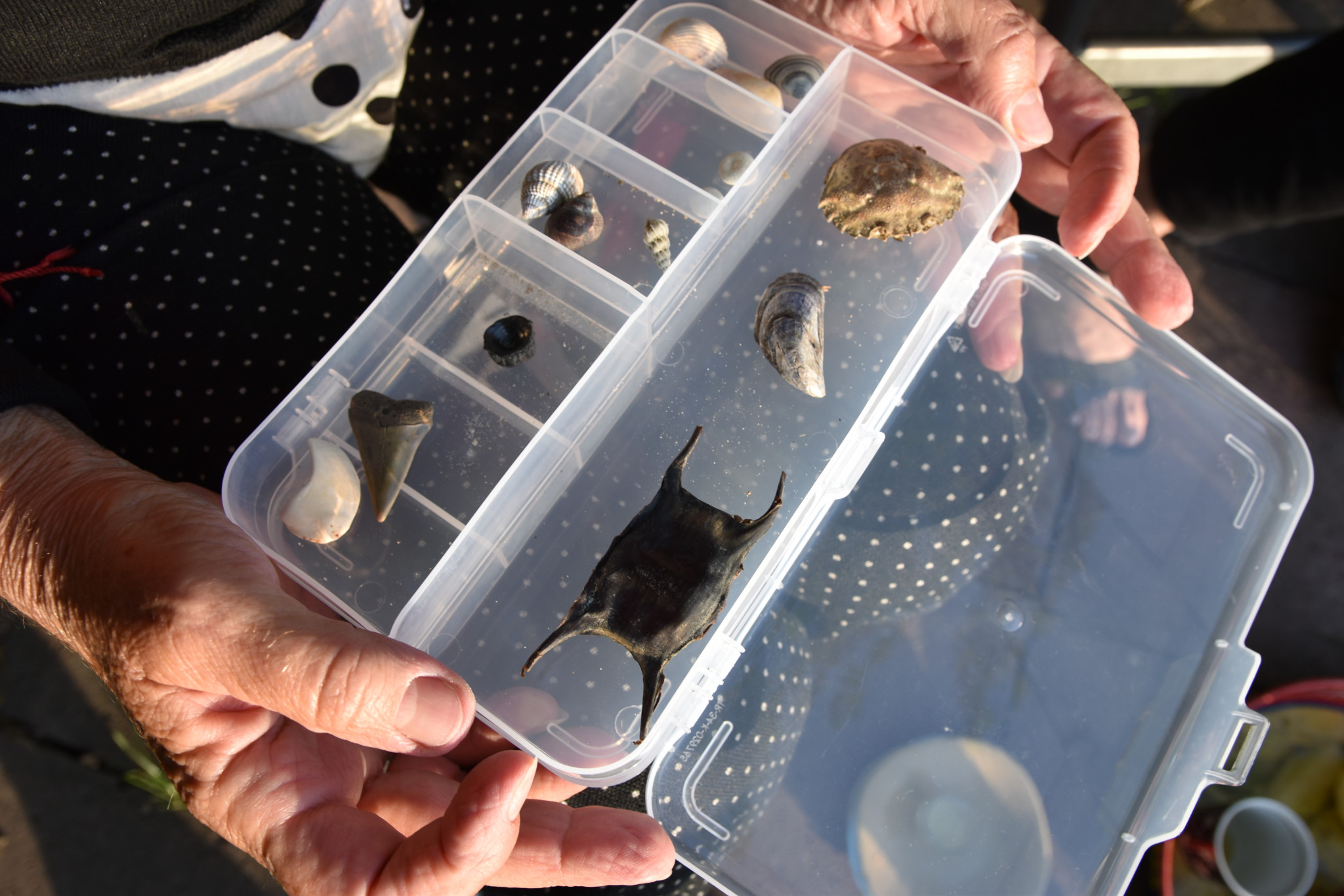 Speuren naar de mooiste natuurschatten met Soan Lan