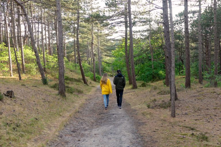Twee mensen wandelen op een bospad omgeven door hoge bomen.