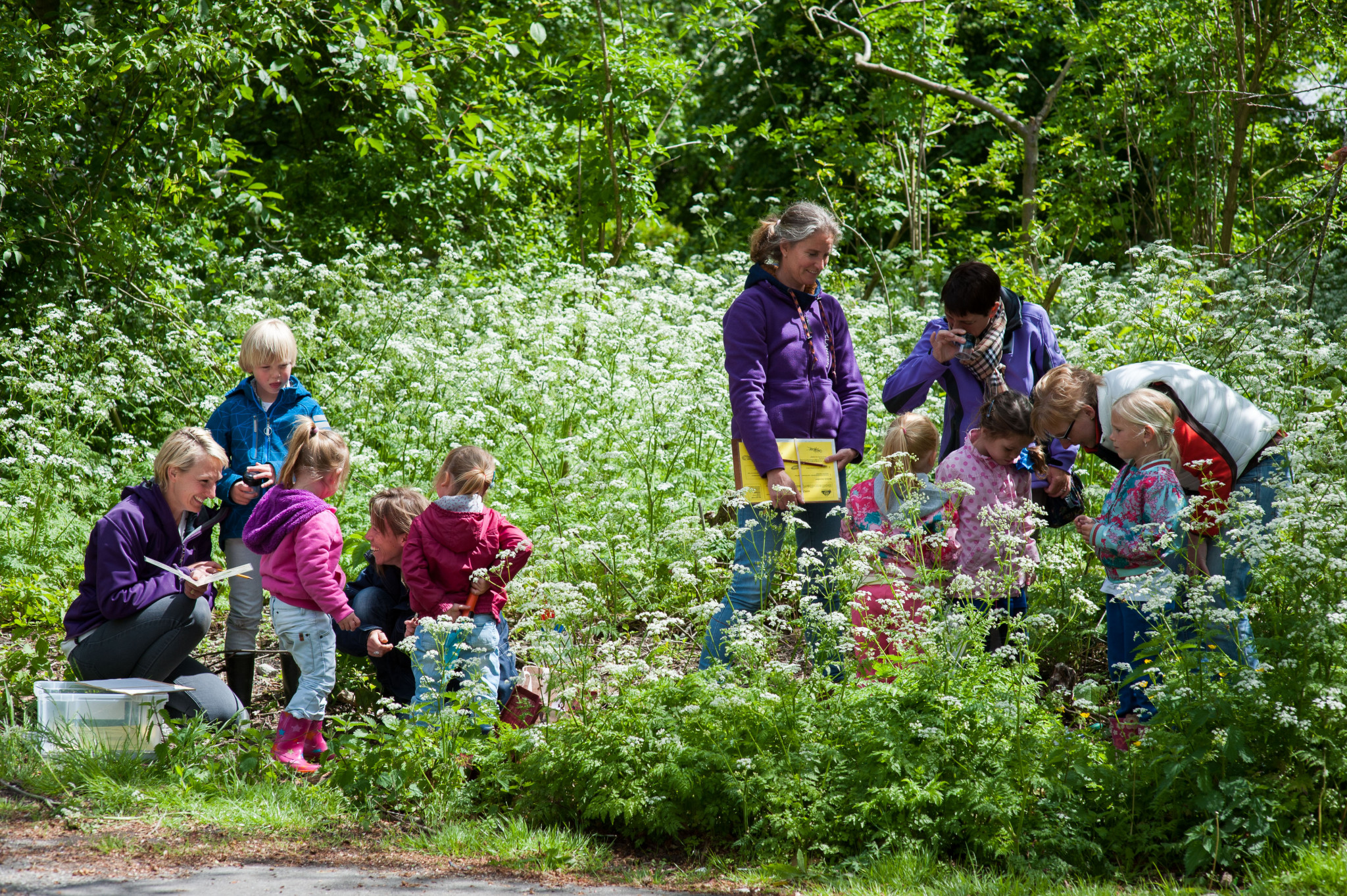 Wat klein begon.. Natuuroudernetwerk Tholen