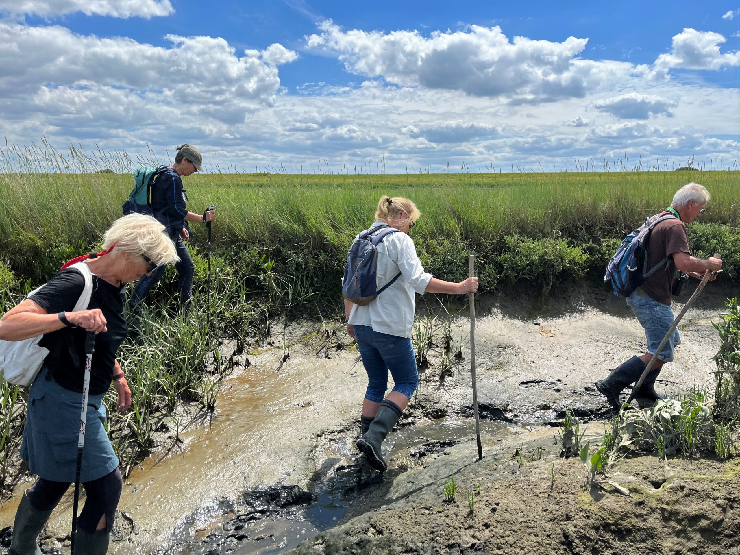 Vier mensen wandelen met stokken door gras en modder onder een bewolkte blauwe lucht.