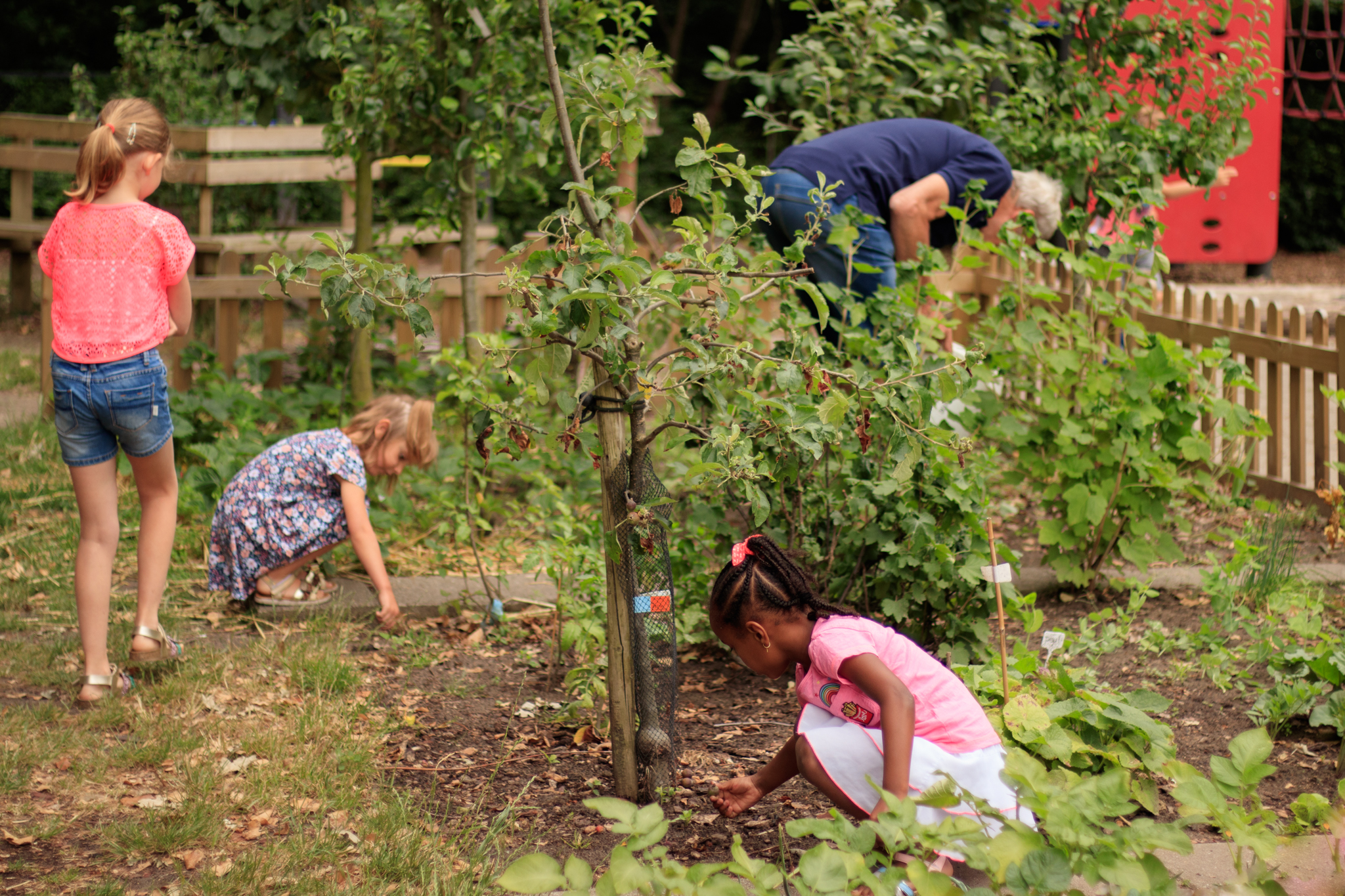 Kinderen tuinieren in een groene tuin naast een houten hek, omringd door planten en bomen.