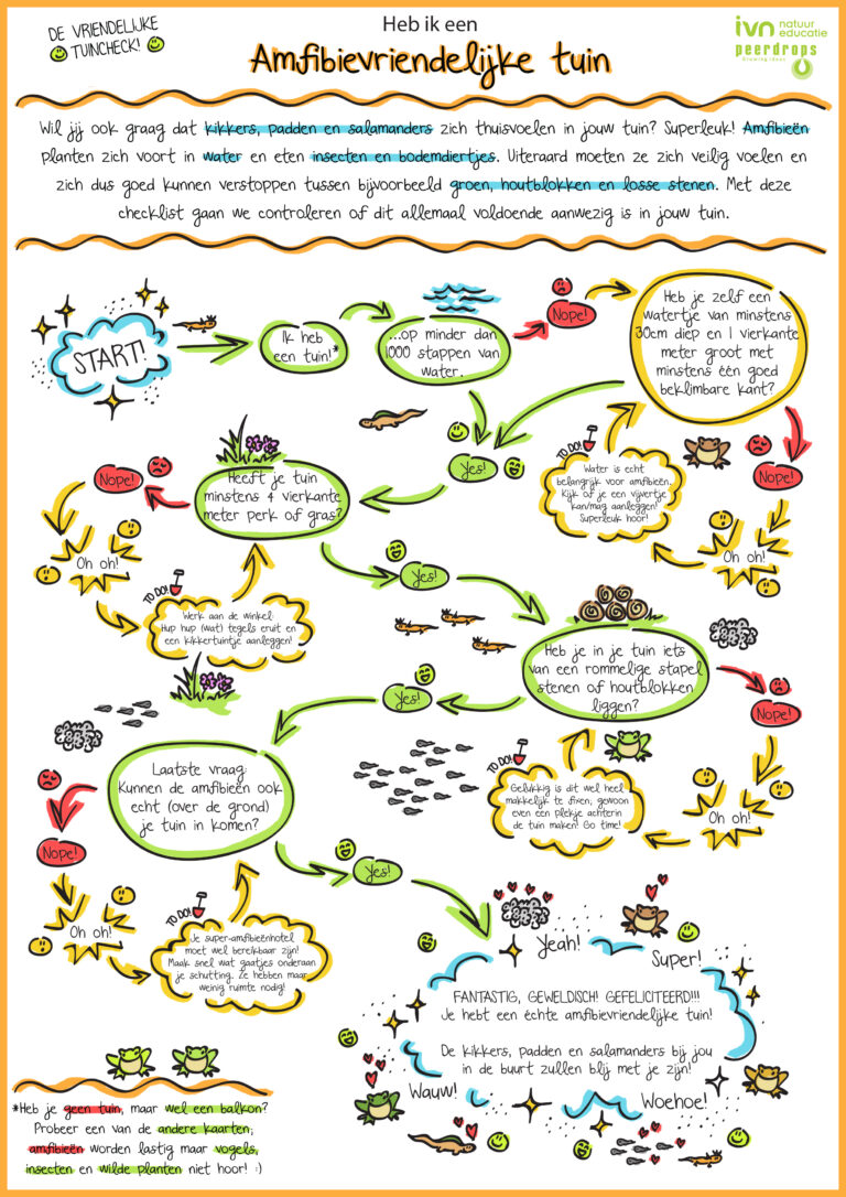 Flowchart voor een amfibievriendelijke tuin, met stappen en illustraties van dieren en water.
