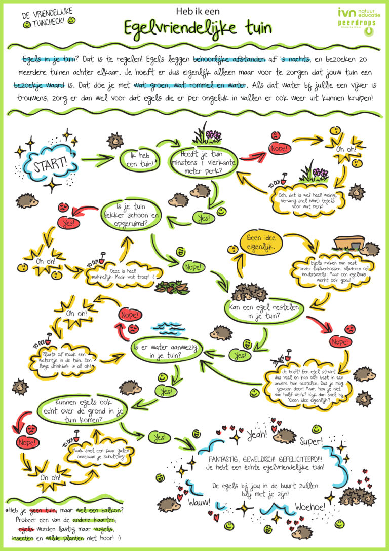 Illustratie van een stappenplan om een tuin egels-vriendelijk te maken, met tekst en pijlen.