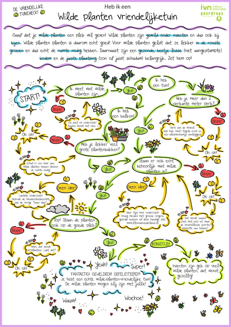 Een kleurrijke flowchart over het maken van een wilde planten-vriendelijke tuin met verschillende keuzes.