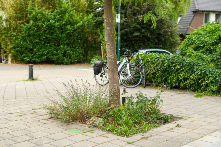 Boom met fietsentegels, omringd door planten en fietsen op de achtergrond.
