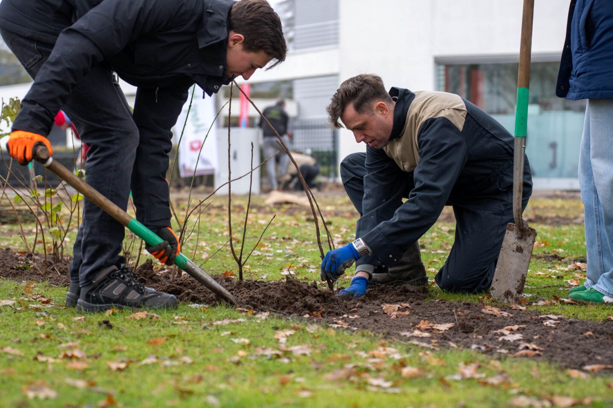 Twee mannen planten struiken in een tuin met herfstbladeren op de grond.