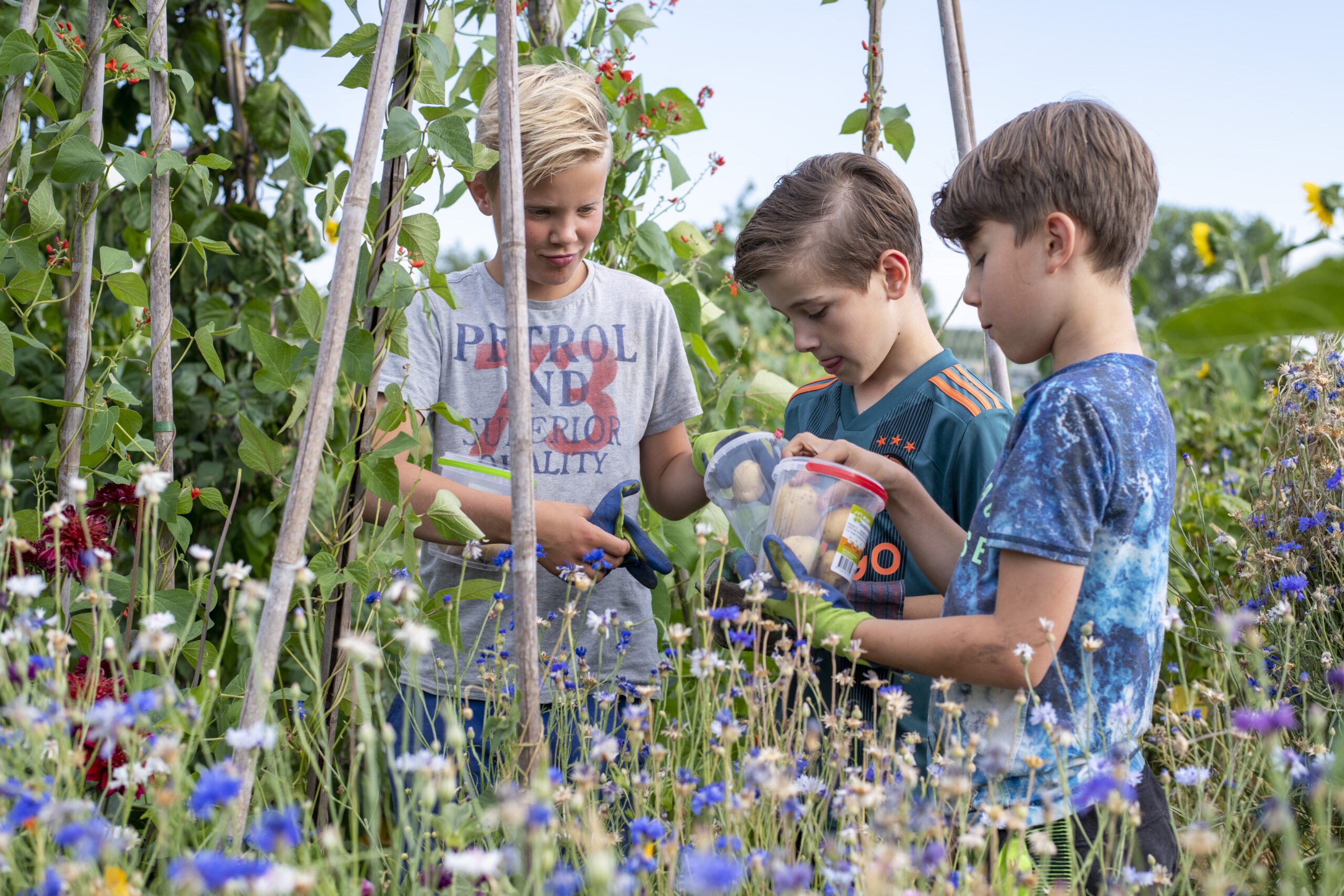 Drie kinderen in een tuin plukken groenten tussen bloemen en groene planten.