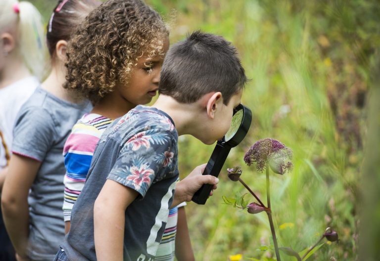 Themagroep Kind & Natuur zoekt nieuwe mensen!