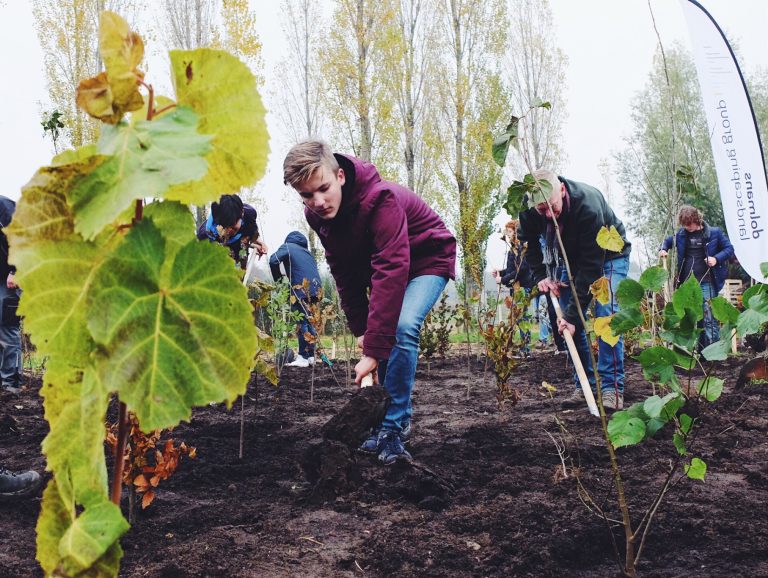 16 nieuwe Tiny Forest partnergemeenten in Zuid-Holland
