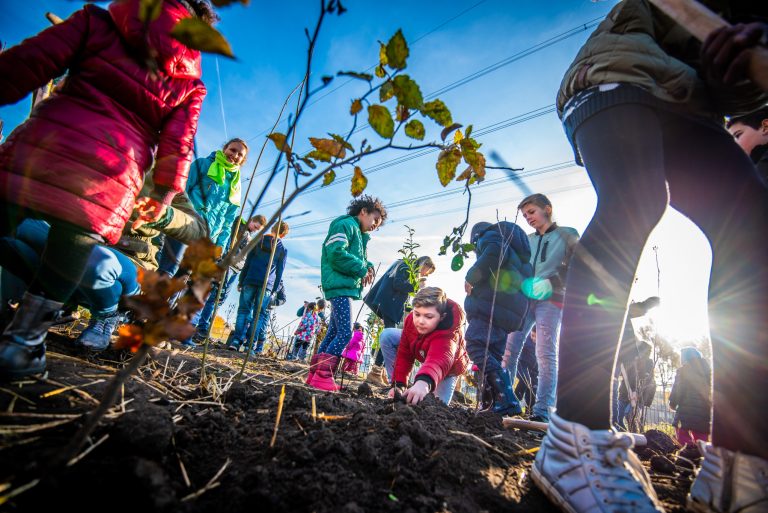 Veel animo voor Goudse Voedselbosjes op schoolplein zorgt voor tweede bosje
