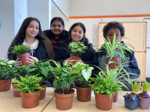 Leerlingen Rotterdamse Oranjeschool planten eigen BinnenBos 