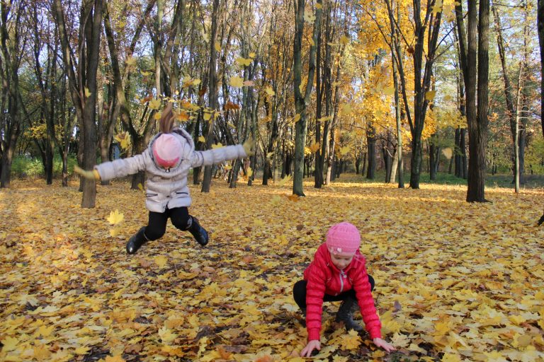 Workshop Natuurbeleving voor kinderen
