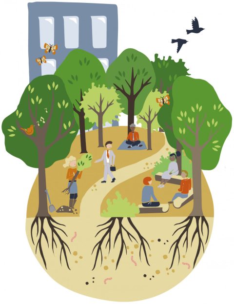 Pilot natuurinclusief werken: doet jouw bedrijf mee?
