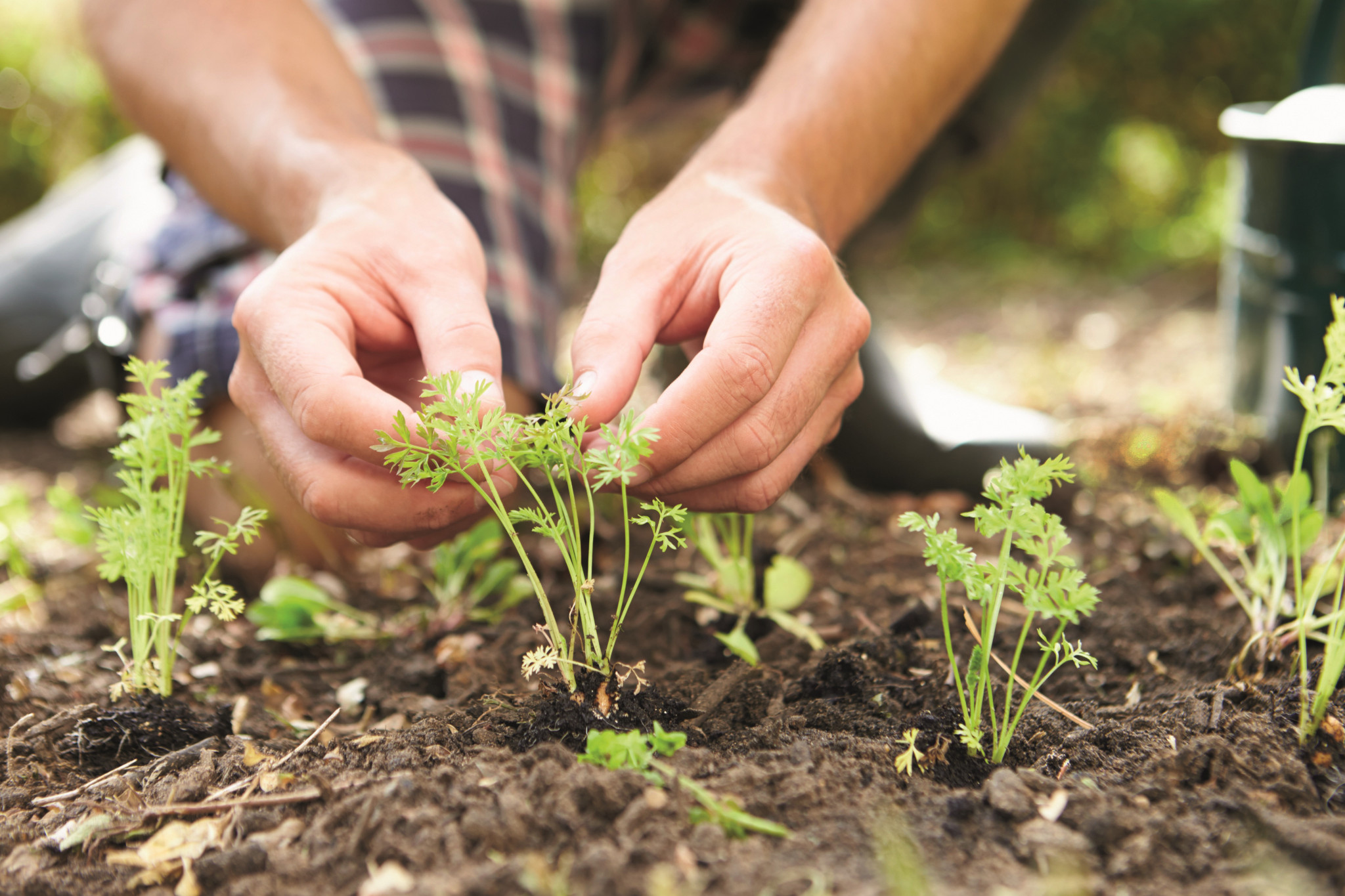 Ontmoet de tuinambassadeurs uit Hillegom, Lisse en Teylingen