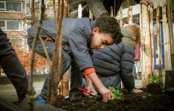 voedselbosje_boomfeestdag_ivn_gouda_ _planten_vindingrijk_ _anne_kaere_fotografie. 13